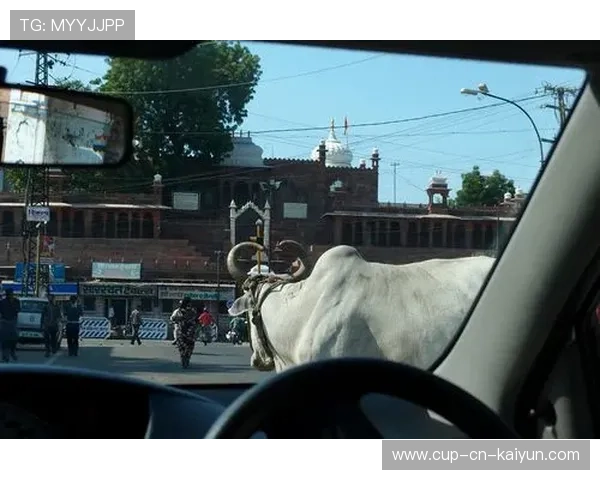 印度投球火力惊人，连续零封对手，印度踢球