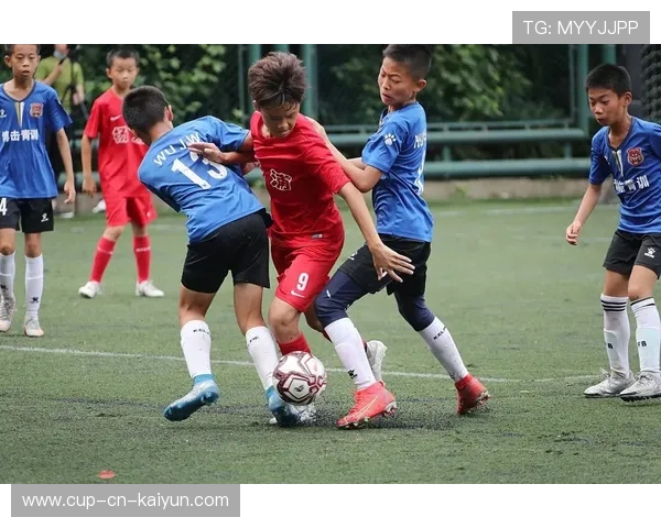 琑队如何建立青训资源共享与评估平台,什么叫青训队 琑队如何建立青训资源共享与评估平台,什么叫青训队